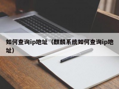 如何查询ip地址（麒麟系统如何查询ip地址）