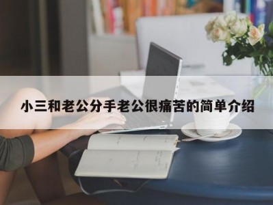 小三和老公分手老公很痛苦的简单介绍