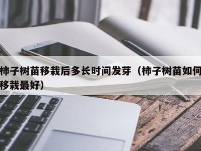 柿子树苗移栽后多长时间发芽（柿子树苗如何移栽最好）