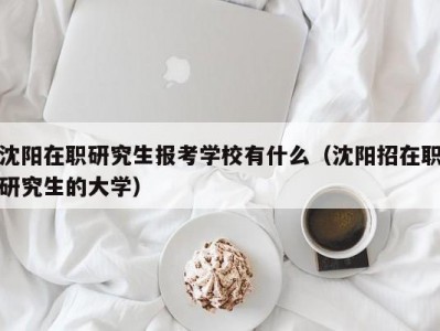 沈阳在职研究生报考学校有什么（沈阳招在职研究生的大学）