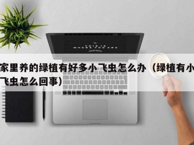 家里养的绿植有好多小飞虫怎么办（绿植有小飞虫怎么回事）