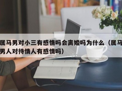 属马男对小三有感情吗会离婚吗为什么（属马男人对待情人有感情吗）