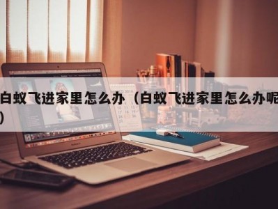 白蚁飞进家里怎么办（白蚁飞进家里怎么办呢）