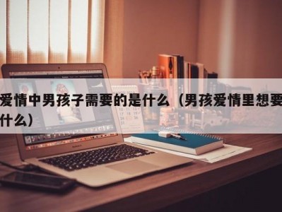 爱情中男孩子需要的是什么（男孩爱情里想要什么）