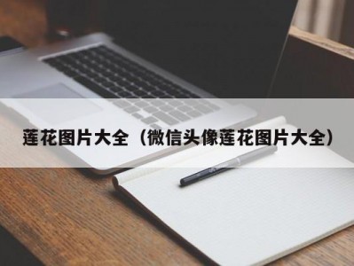 莲花图片大全（微信头像莲花图片大全）