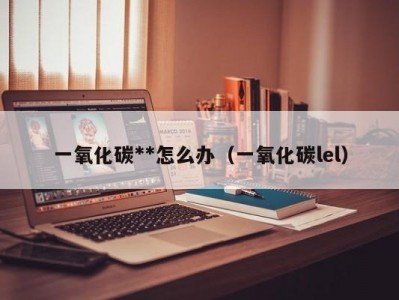 一氧化碳**怎么办（一氧化碳lel）