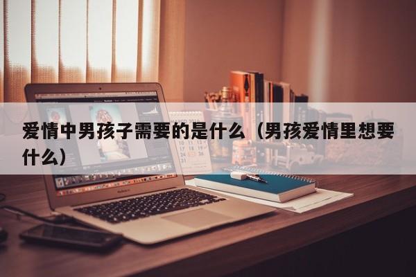 爱情中男孩子需要的是什么(男孩爱情里想要什么)