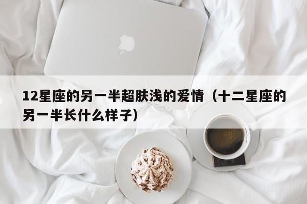 12星座的另一半超肤浅的爱情(十二星座的另一半长什么样子)