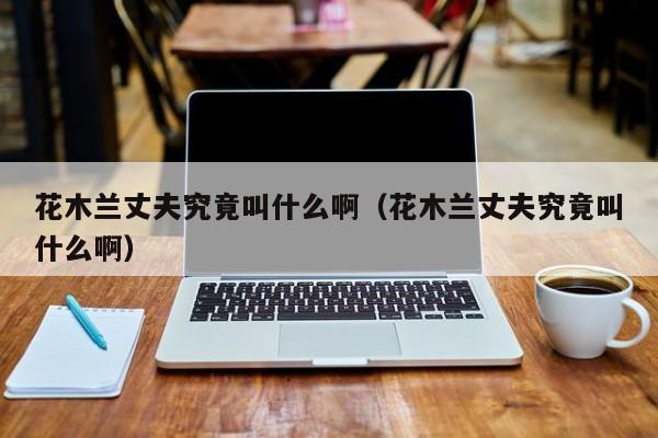 花木兰丈夫究竟叫什么啊(花木兰丈夫究竟叫什么啊)