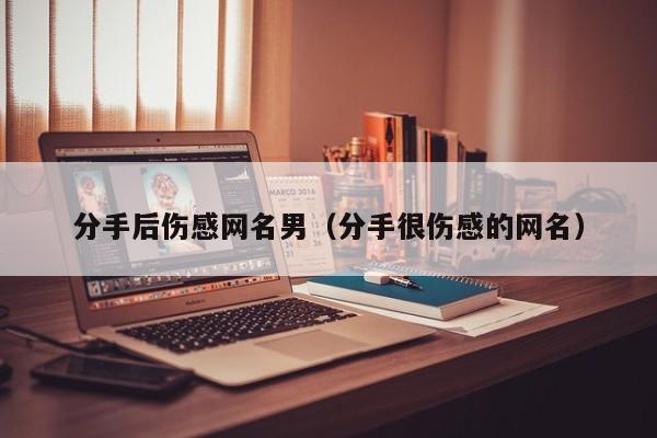 分手后伤感网名男(分手很伤感的网名)