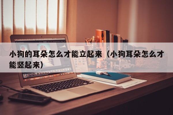 小狗耳朵怎么立起来了 狗狗耳朵如何竖起来