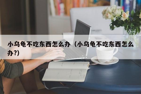 小乌龟不吃食是怎么回事 小乌龟不吃东西咋办?