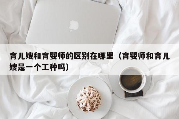 育儿嫂就是育婴师吗 育儿嫂和育婴嫂有啥区别?