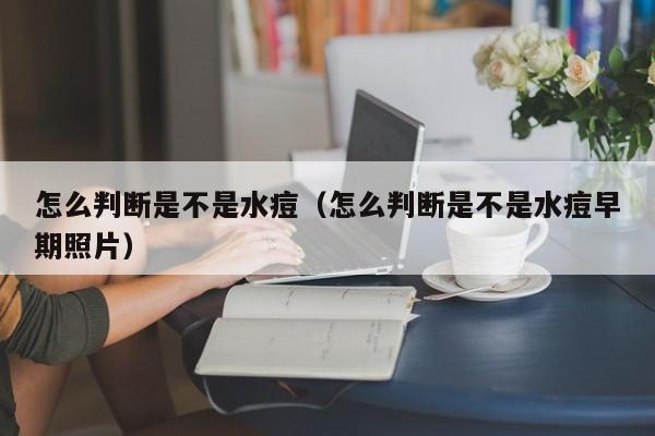 怎么判断是不是水痘图片真实 怎么判断是不是出水痘了