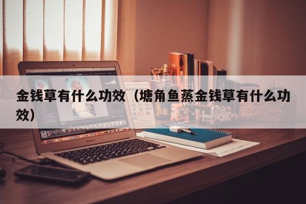 金钱草煮塘角鱼的功效与作用 金钱草和塘角鱼草功效与作用