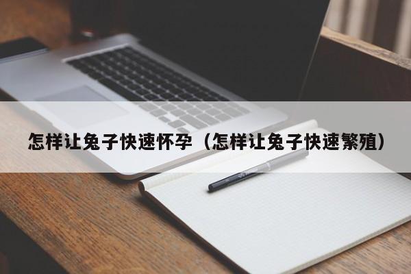 怎么让兔子快速生宝宝 最快让兔子怀孕的办法是什么